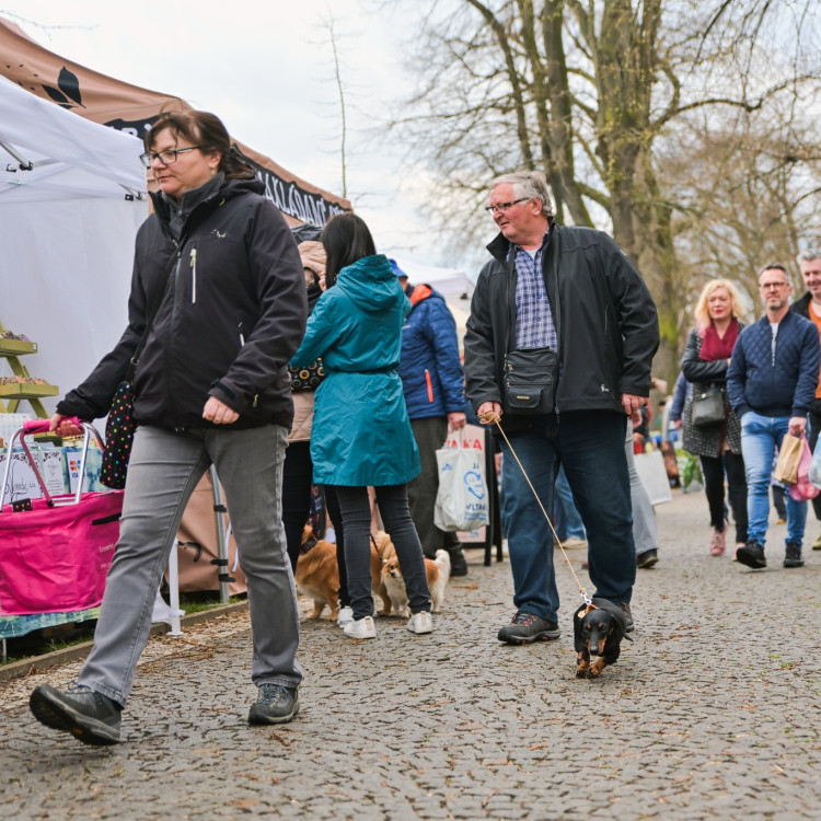 Farmářské trhy opět oživí sobotní hradecké nábřeží