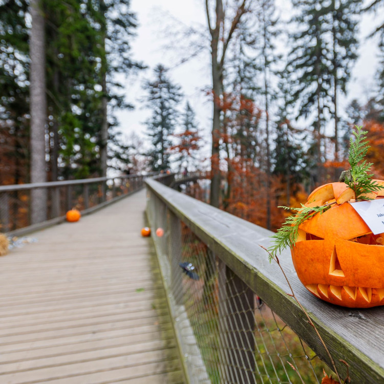 Halloween na Stezce korunami stromů