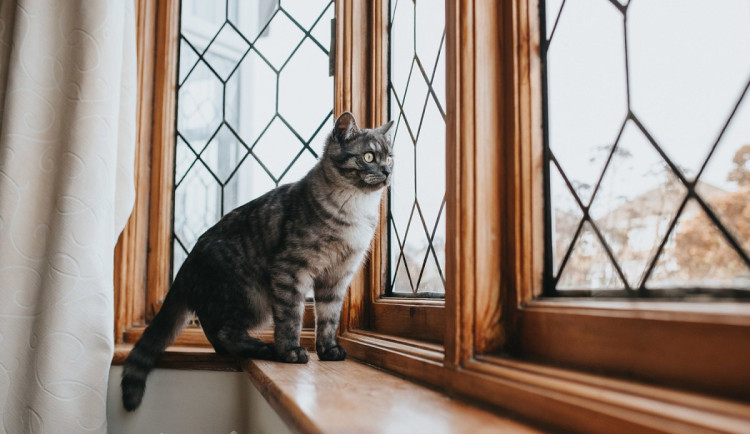 Z mého deníku: Konec jedné migrantky