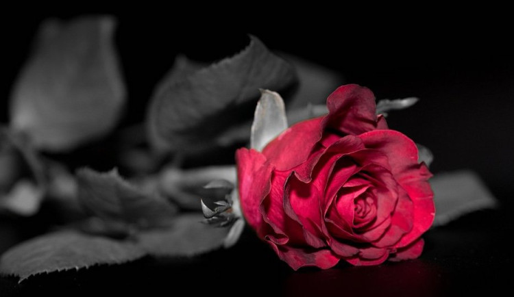 Jak jsem málem plakala na cizím hrobě