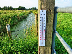 POČASÍ NA PÁTEK: Dnes naměříme až třináct stupňů, odpoledne se vyjasní