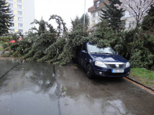 Silný vítr lámal stromy. Hasiči zasahovali u sedmdesáti událostí