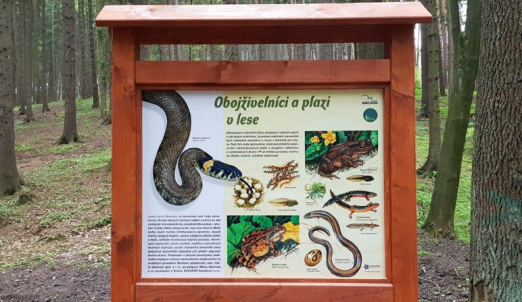 Nová naučná stezka na okraji Náchoda přibližuje život v lese