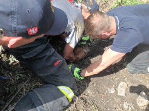 Pes se vydal na průzkum betonové trubky, zachránit ho museli hasiči