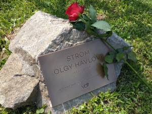 V Hradci Králové vysadili strom na památku Olgy Havlové