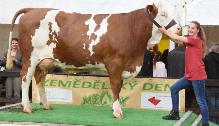 V Sověticích se konal Zemědělský den, nejvíce sympatií získala zasloužilá dojnice Berta