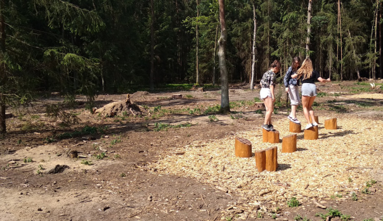 Přírodní posilovna v městských lesích