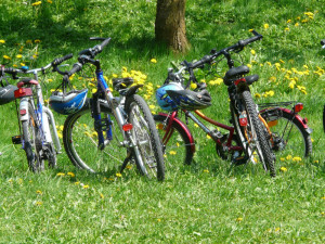 V hradeckém kraji opět vyjely cyklobusy přepravující kola
