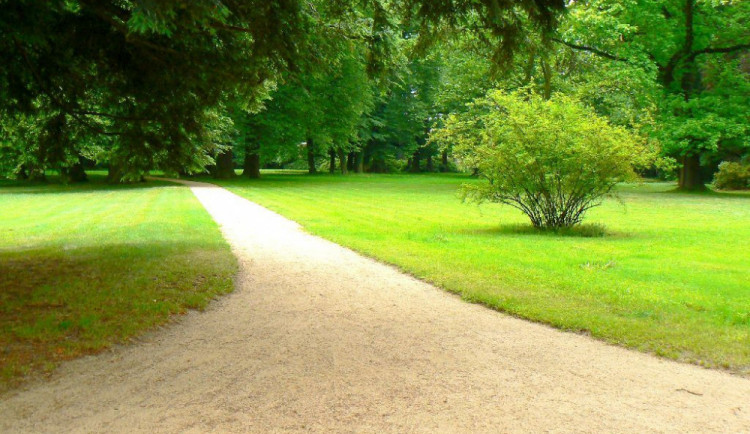 Královéhradecký kraj nově vymezil rezervaci Kostelecký zámecký park