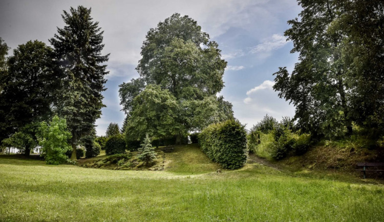 Rtyňská lípa svobody