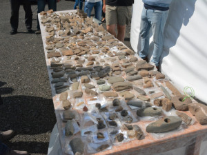 Nálezy z D11 ukážou archeologové veřejnosti v říjnu ve Všestarech