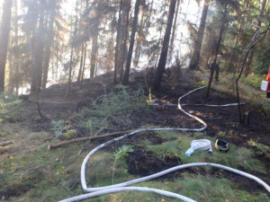 U Hájemství opět hořelo v lese, hasiči likvidovali několik ohnisek požáru