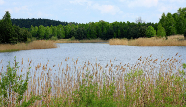 Voda ke koupání v hradeckém kraji podle rozborů většinou vyhovuje
