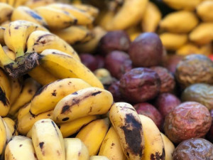 Na Náplavce se bude ochutnávat exotické ovoce, Virunga doveze annony, dračí ovoce i jackfruity