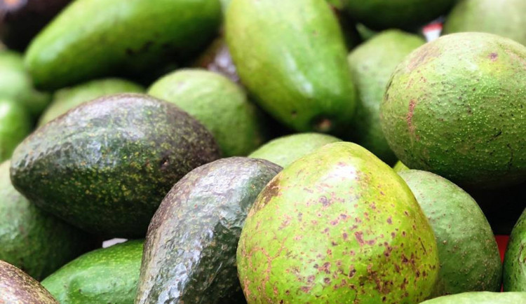 Na Náplavce se bude ochutnávat exotické ovoce, Virunga doveze annony, dračí ovoce i jackfruity