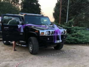 Ke Stříbrnému rybníku dorazily legendární americké vozy