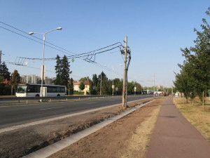 Pokácení stromů v Sokolské ulici rozhořčilo některé obyvatele. Podle Ředitelství silnic a dálnic to prý bylo nutné