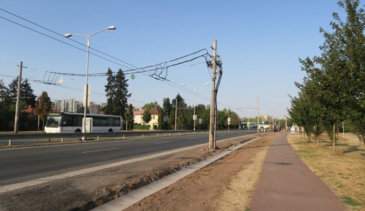 Prázdno po pokácených stromech