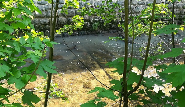 Znečištěna Čista