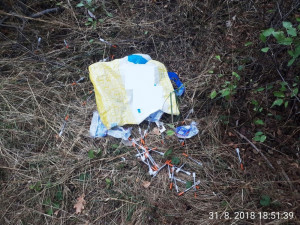 U rybníku Borovinka byla nalezena igelitová taška se stovkou použitých injekčních stříkaček