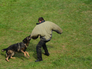 Eliščino nábřeží obsadila záchranářská technika
