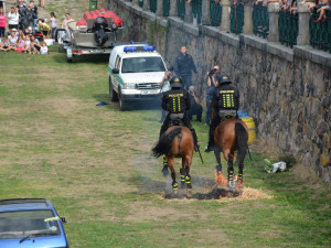 Eliščino nábřeží obsadila záchranářská technika