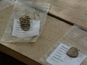 Archeologové nalezli u Bona publica zbytky pravěkého osídlení