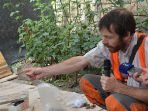 Archeologové nalezli u Bona publica zbytky pravěkého osídlení