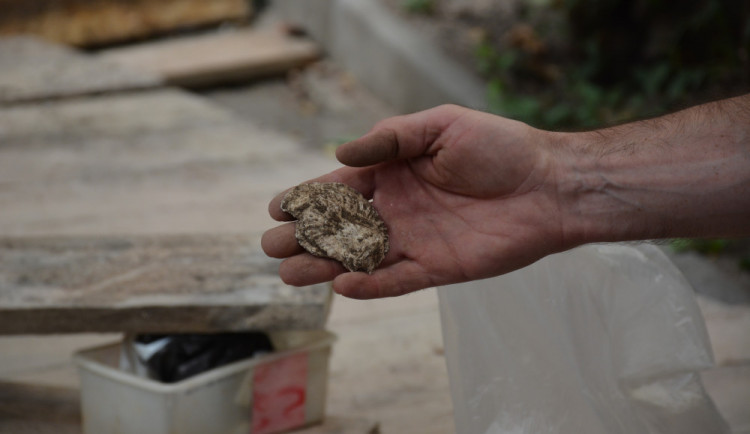 Archeologové nalezli u Bona publica zbytky pravěkého osídlení