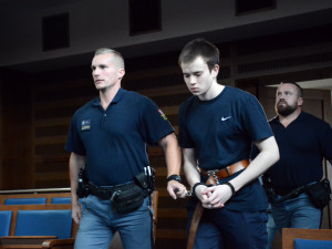 Za pokus o vraždu policisty dostal Litevec deset let vězení