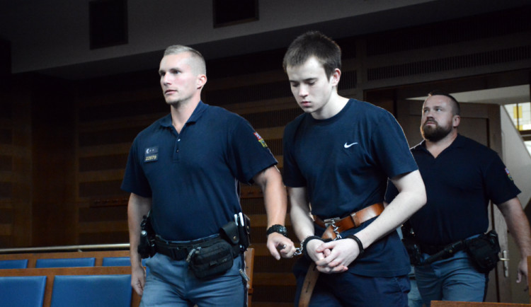 Vitalijus Červonikovas z Litvy vedený k soudu