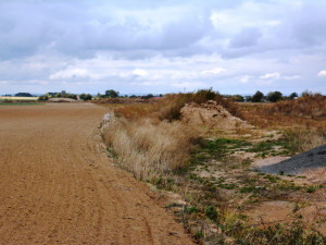ŘSD zahájilo stavbu úseku dálnice D11 z Hradce Králové do Smiřic
