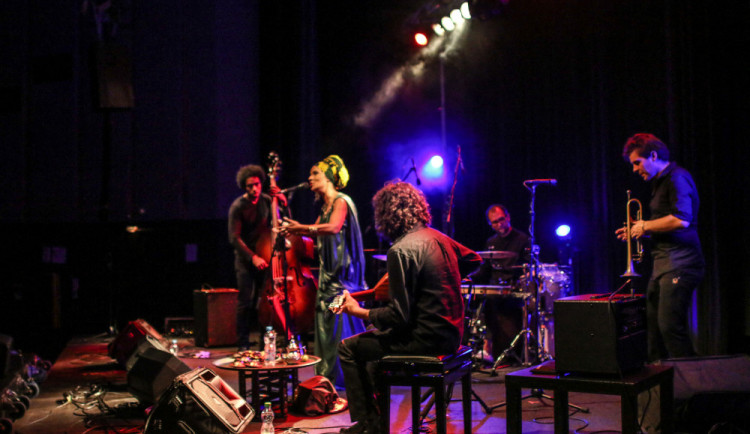 VEIN, Strom stínu, Spinifex Maximus a mnozí další už tento týden na festivalu Jazz Goes to Town