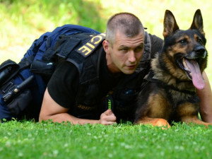 Skonal pes Polux, pro policisty kamarád, bojovník i parťák. Bylo mu deset let