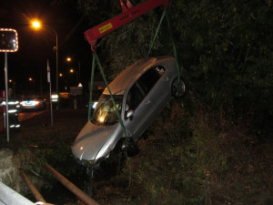 Seat po zběsilé honičce zvedají z potoka