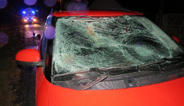 Fabie seniorky po srážce s opilým chodcem