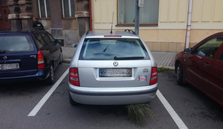 Fabia s trsem trávy