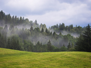 POČASÍ NA STŘEDU: Polojasno až skoro jasno, vítr zeslábne