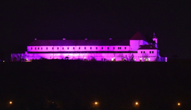 Špilberk se opět zbarví do purpurové. Připomene tak Světový den předčasně narozených dětí
