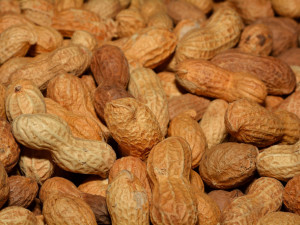 Test arašídů: plísní se nemusíte bát