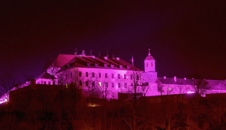 FOTO: Špilberk se zbarvil do purpurové na podporu Světového dne předčasně narozených dětí