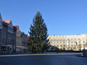 Hradec bude mít tradičně tři vánoční stromy, rozsvíceny budou o první adventní neděli