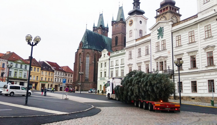 FOTO/VIDEO: Velké a Masarykovo náměstí zdobí vánoční stromy