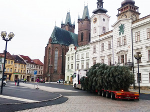 FOTO/VIDEO: Velké a Masarykovo náměstí zdobí vánoční stromy