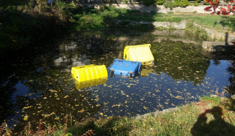 Naházené kontejnery v rybníčku