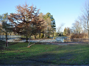 V hradeckých Šimkových sadech stavbaři zpevňují břehy jezírka