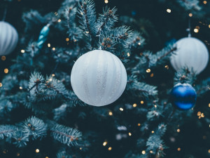 Zloděj si opatřil vánoční ozdoby bez placení, očesal stromek na zahradě rodinného domu