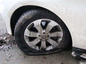 Policisté stříleli po cizinci, který ujížděl s autem ukradeným v Německu, vystopoval ho pes Chucky