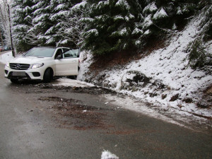 Policisté stříleli po cizinci, který ujížděl s autem ukradeným v Německu, vystopoval ho pes Chucky