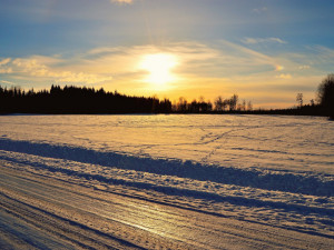 POČASÍ NA PONDĚLÍ: Meteorologové předpovídají sněžení a silnější vítr